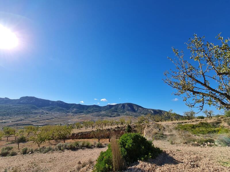 Terrenos en venta