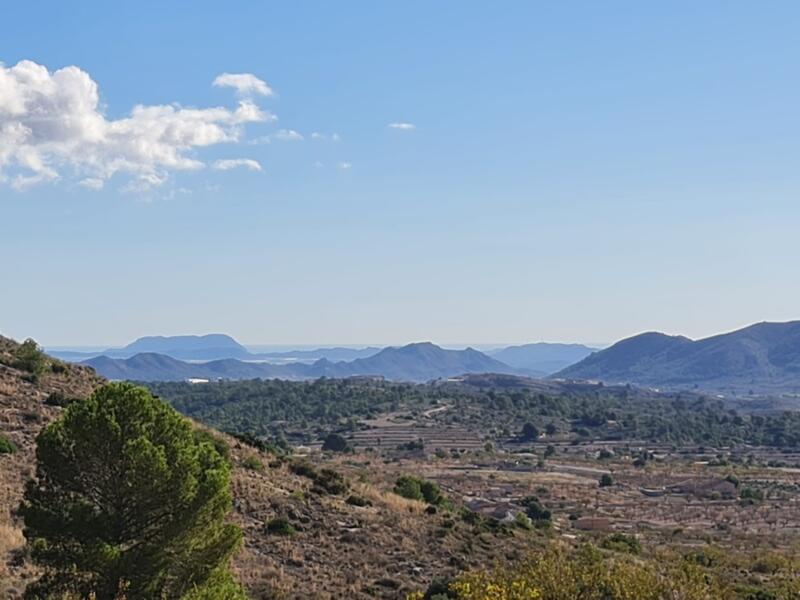 Land til salgs i La Romana, Alicante