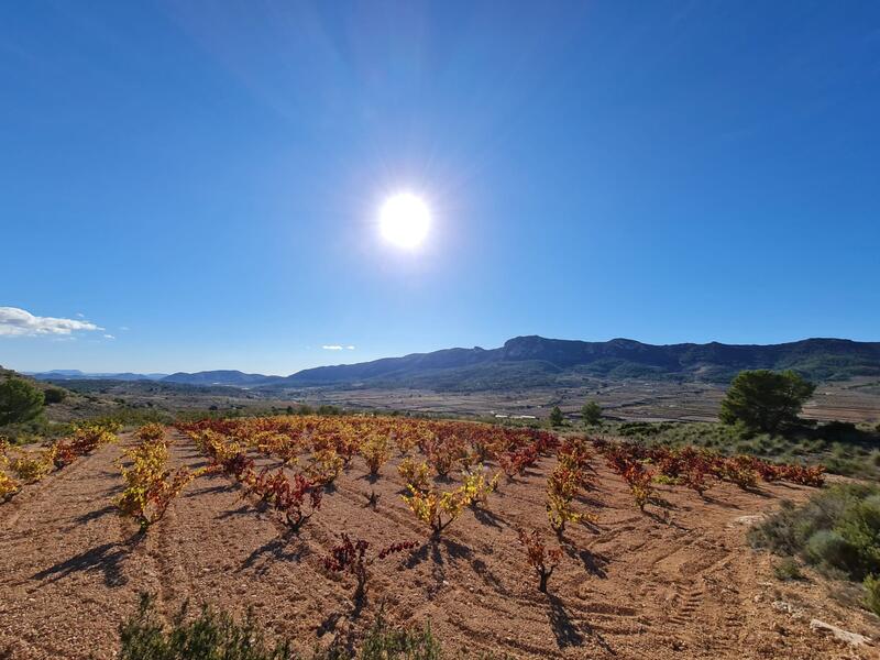 Terrenos en venta