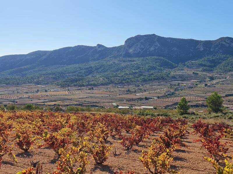 Terrain à vendre