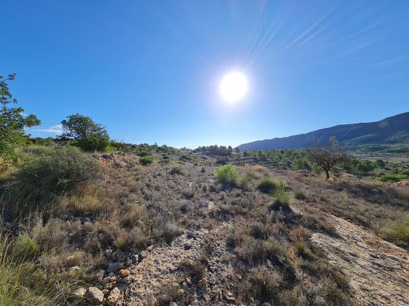 Land for sale in La Romana, Alicante