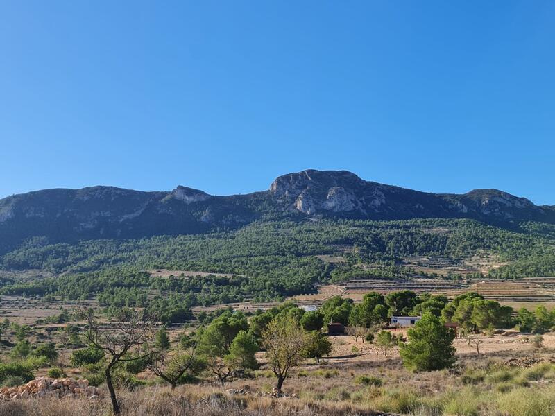 Terrain à vendre