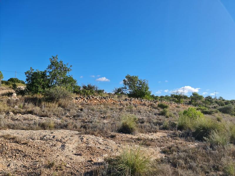 Terrain à vendre