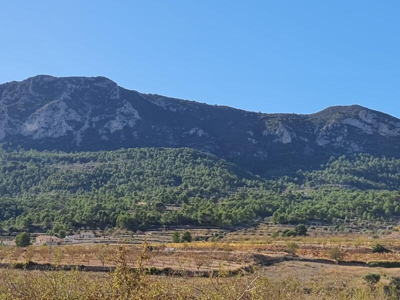 Terrenos en venta en Monóvar, Alicante