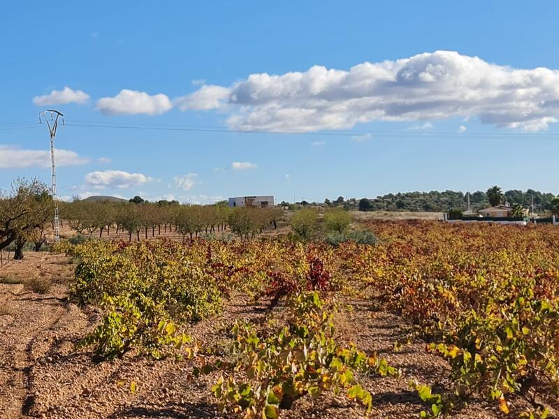 Terrenos en venta