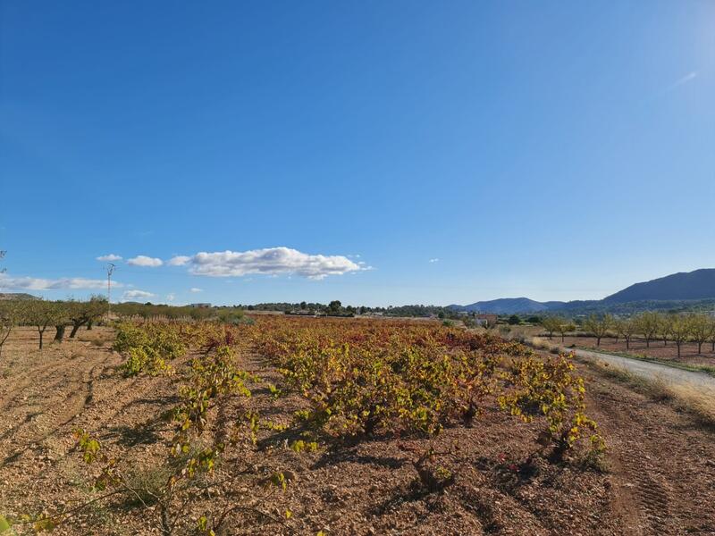 Terrenos en venta