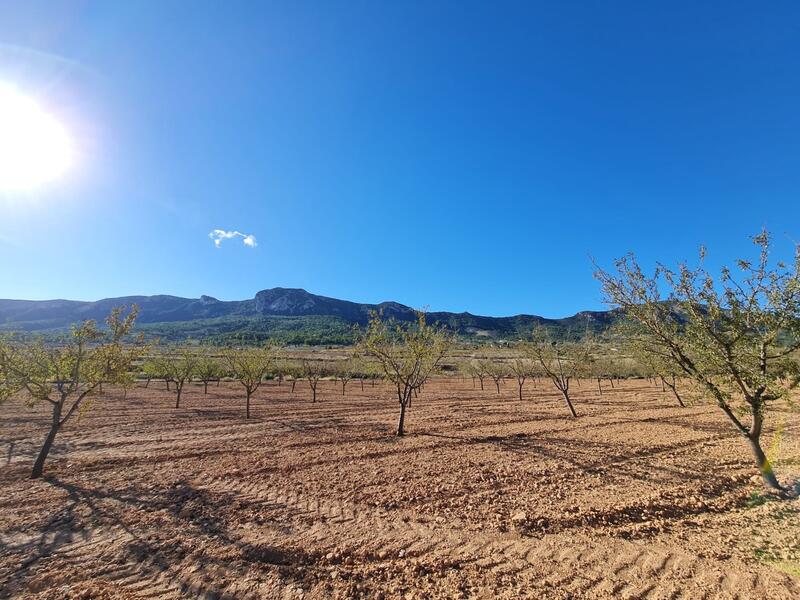 Terrenos en venta