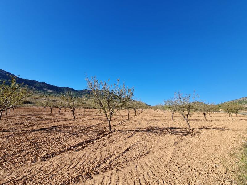 Terrenos en venta