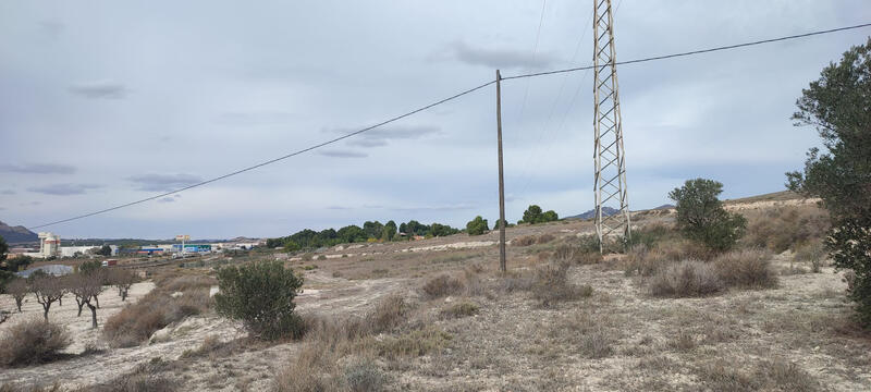 Land for sale in Sax, Alicante