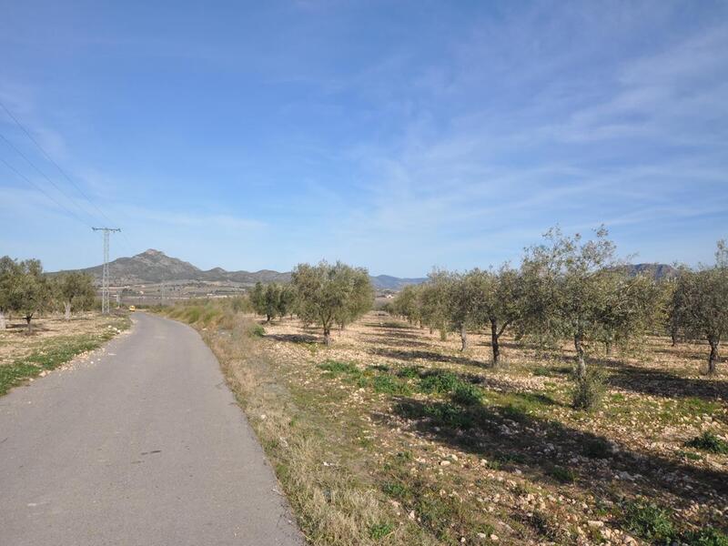 Land for sale in Salinas, Alicante