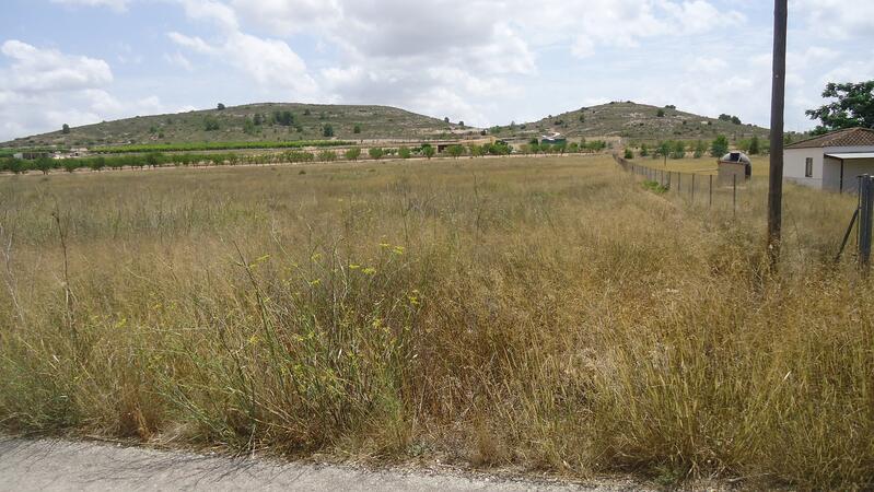 Land for sale in Jumilla, Murcia