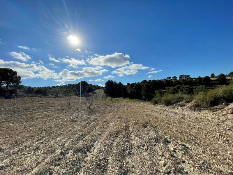 Land for sale