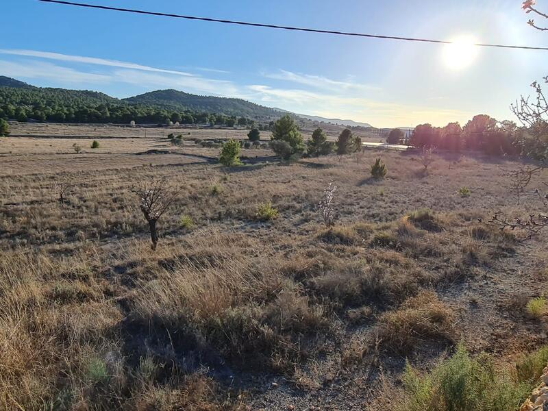 Land Te koop in Monóvar, Alicante