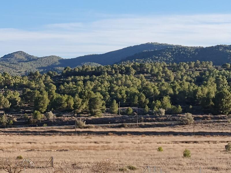 Terrain à vendre