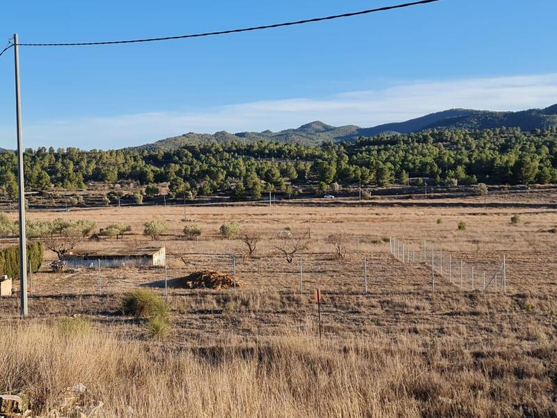 Terrain à vendre