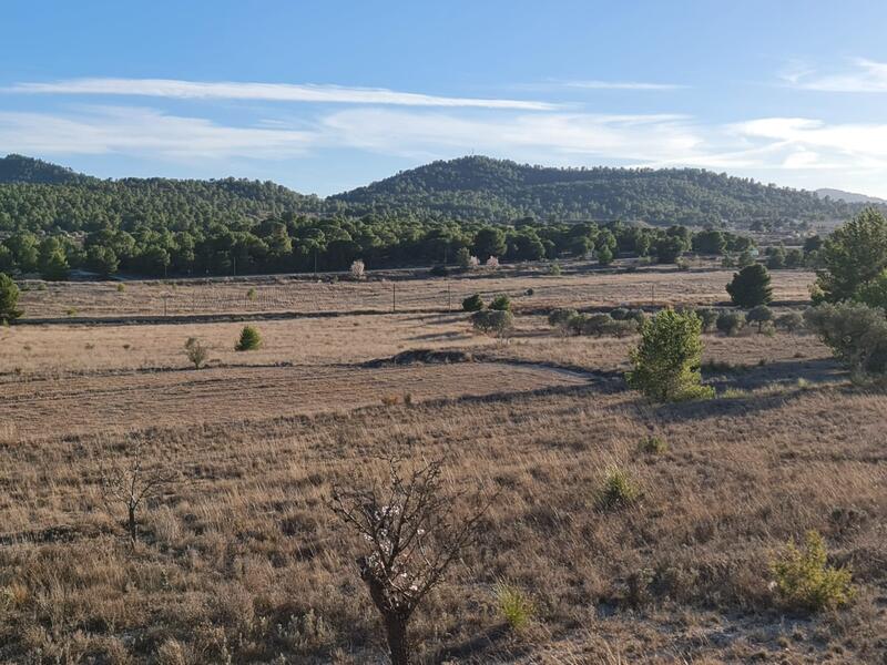 Terrain à vendre