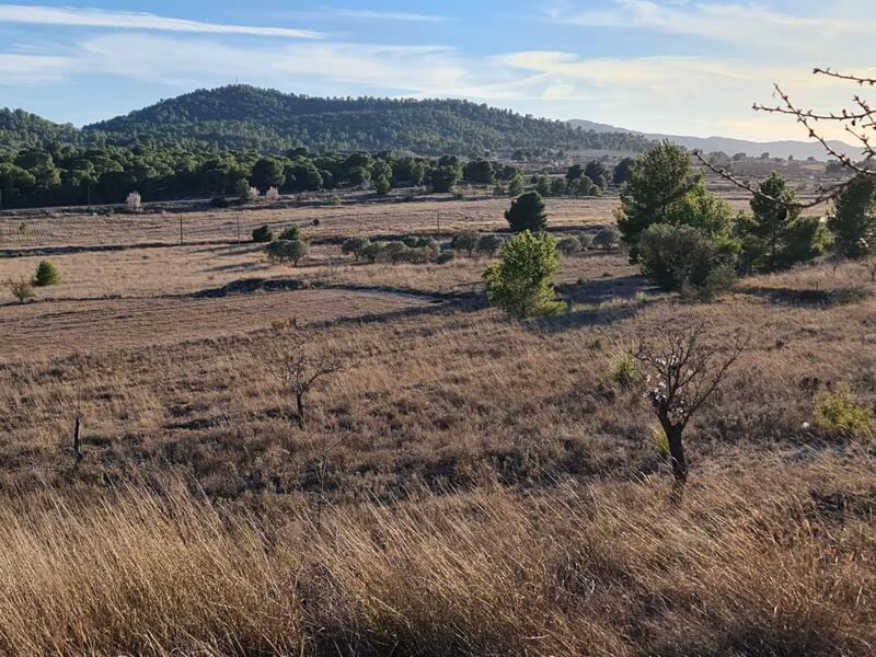 Terrenos en venta