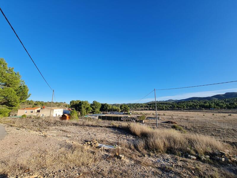 Terrain à vendre