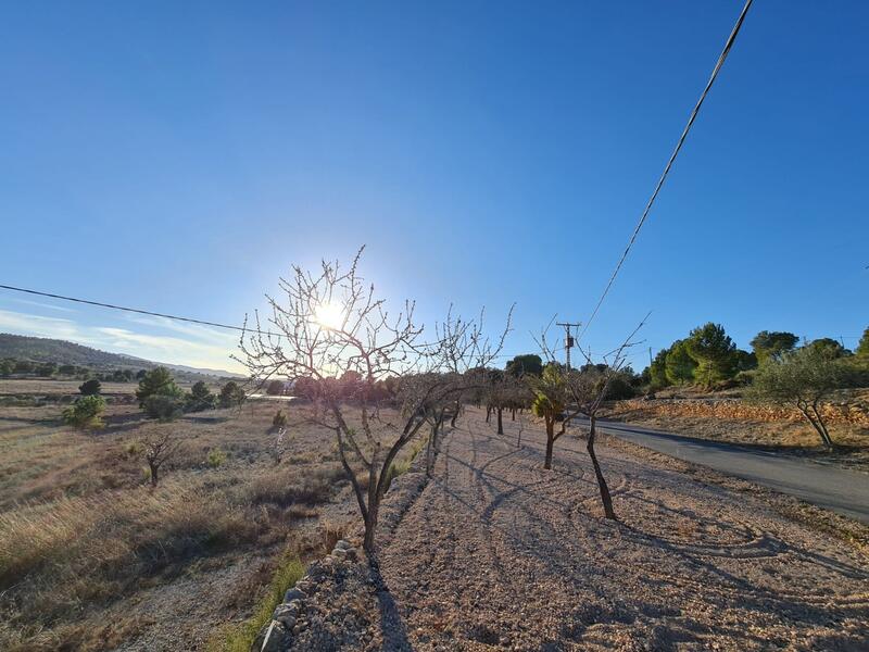 Terrenos en venta