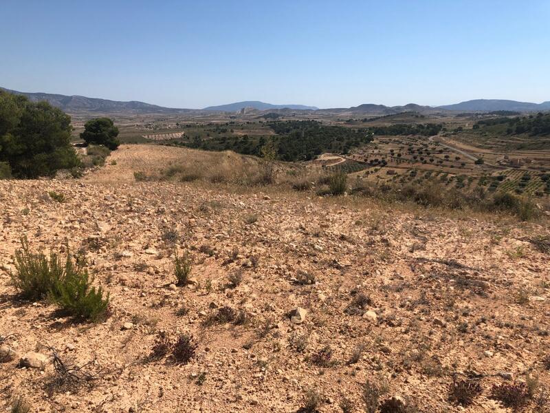 земля продается в La Zarza, Murcia