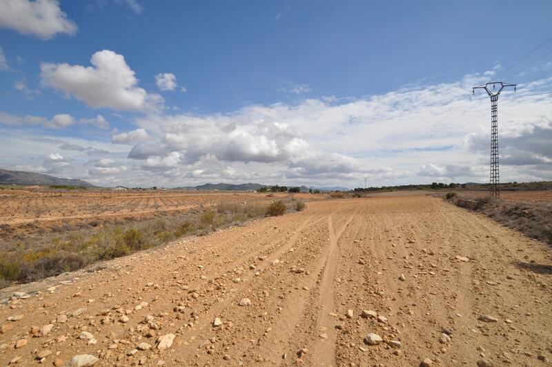 Landa till salu i Pinoso, Alicante