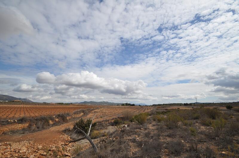 Terrenos en venta en Pinoso, Alicante