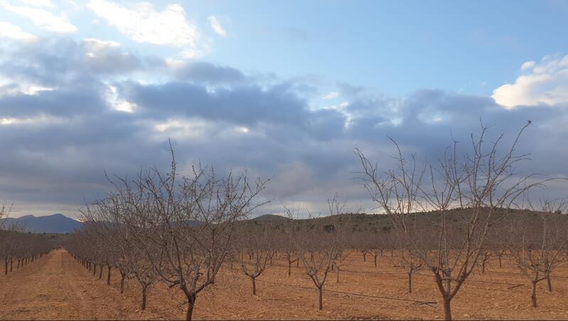 Terrenos en venta