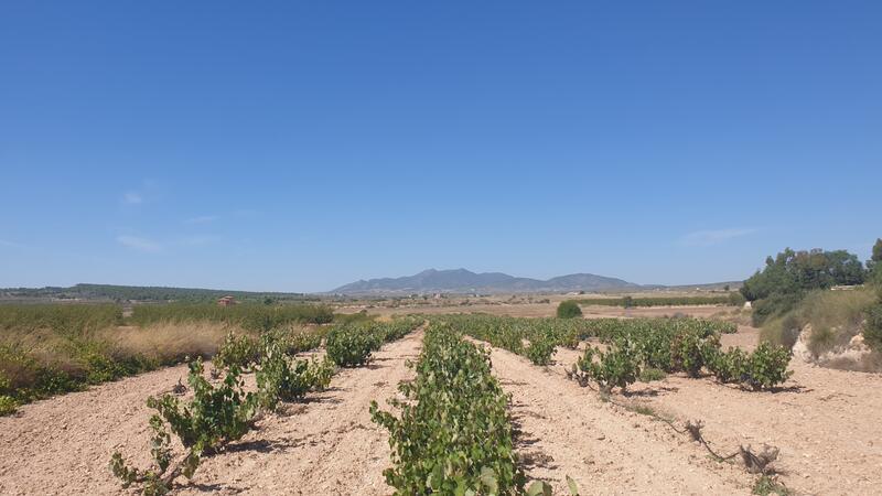 земля продается в Pinoso, Alicante