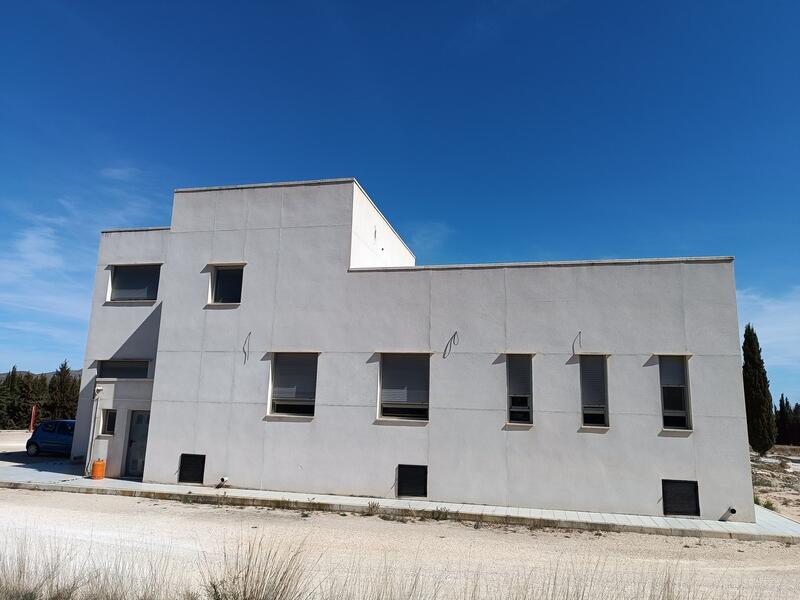 4 Cuarto Villa en venta