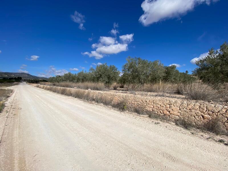 Land for sale