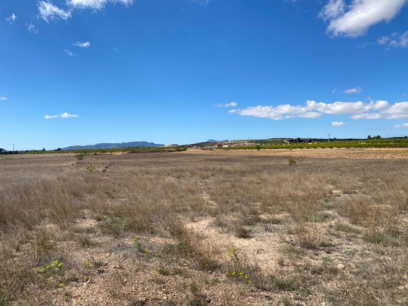 Land for sale
