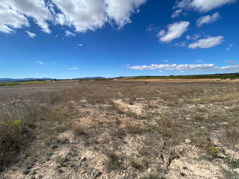 Land for sale