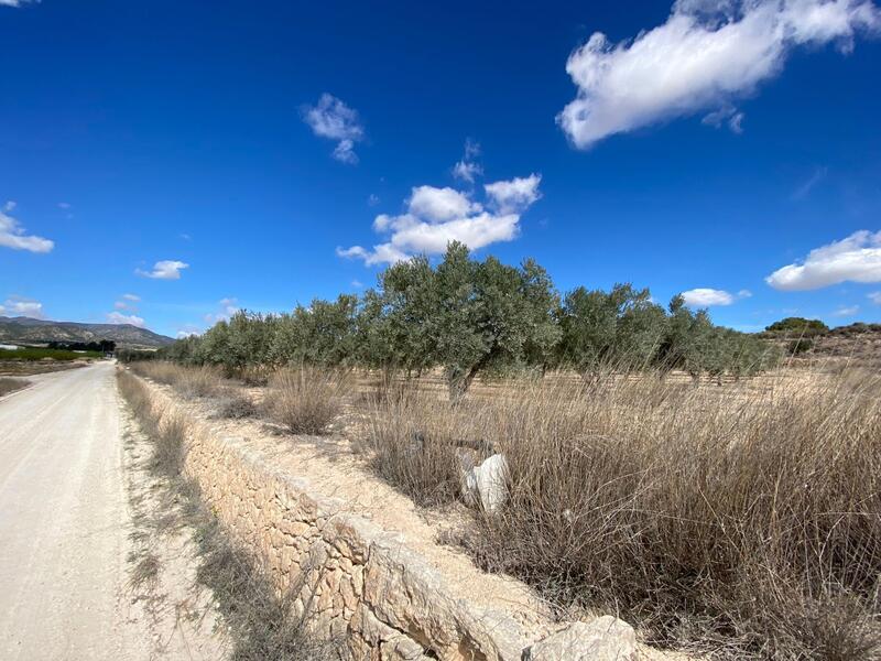 Land for sale