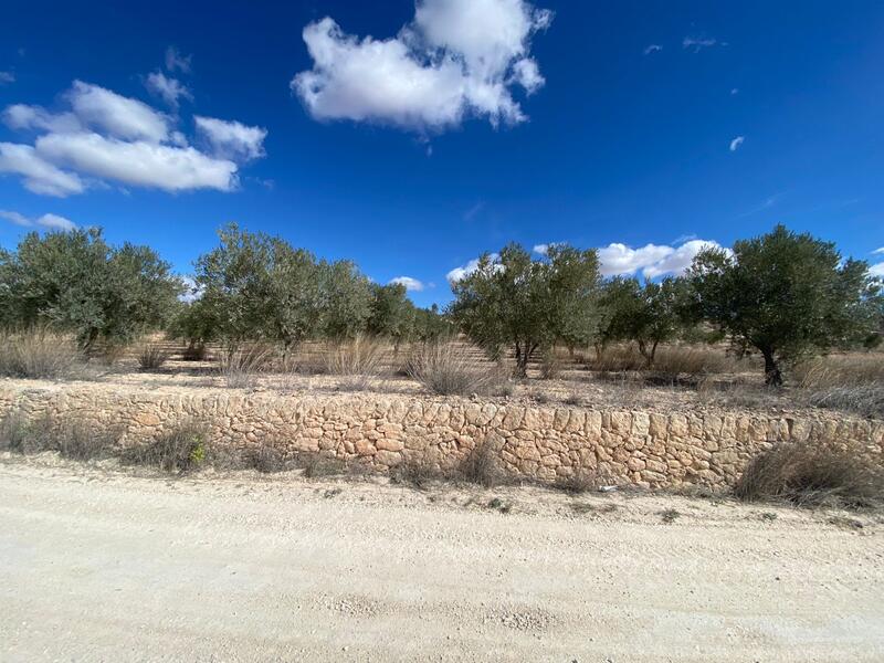 Land for sale