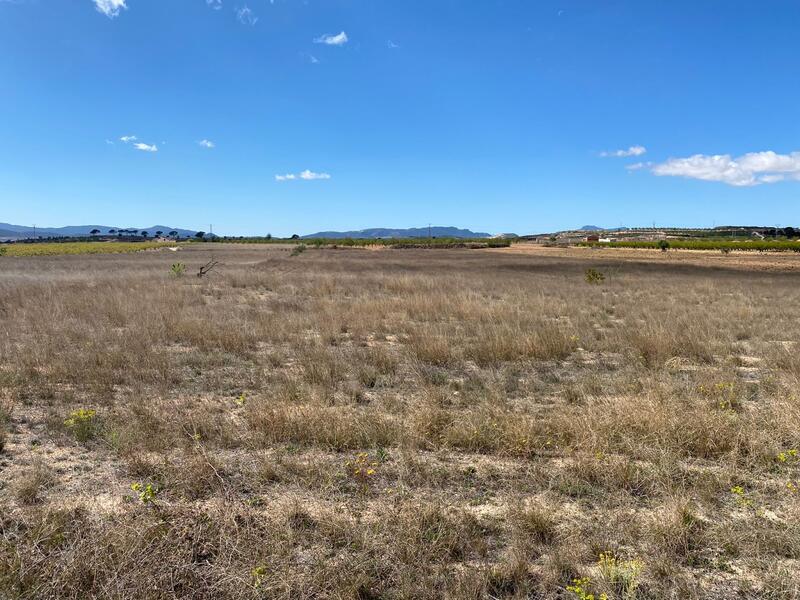 Land for sale