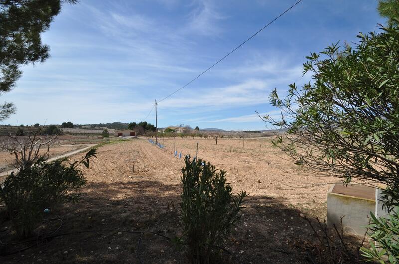 6 Cuarto Casa de Campo en venta
