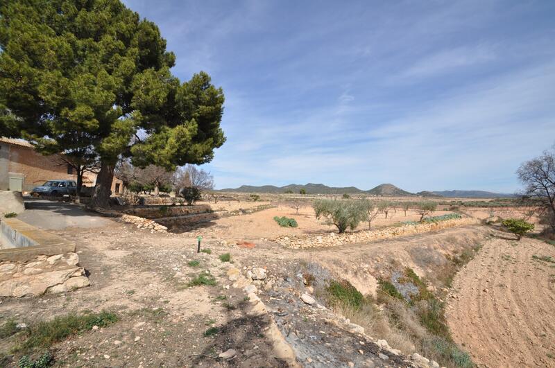 6 Cuarto Casa de Campo en venta