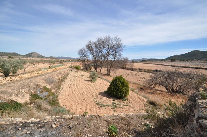 6 Cuarto Casa de Campo en venta