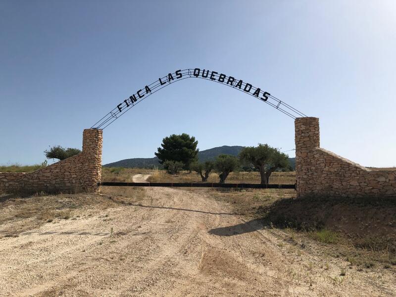 Terrain à vendre dans Yecla, Murcia