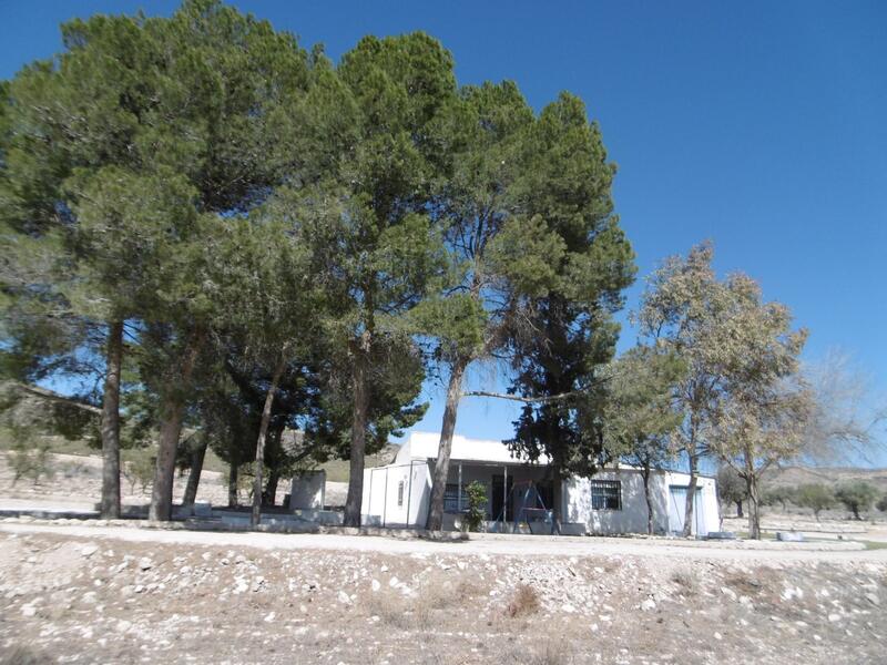 Landsted til salg i Yecla, Murcia