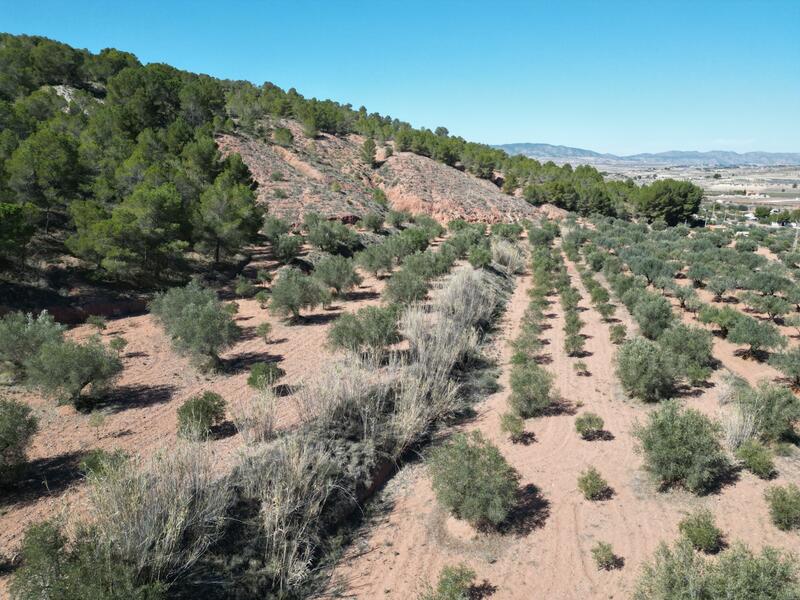 Landa till salu i Pinoso, Alicante