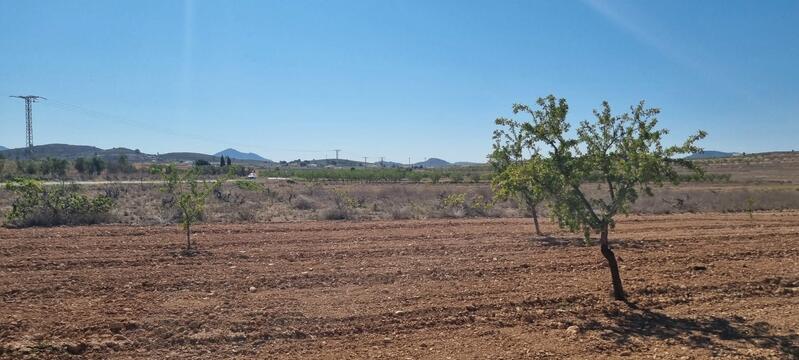 Land for sale