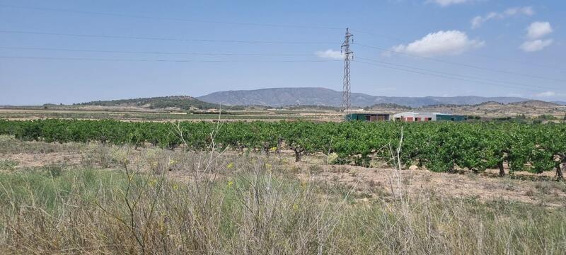 Land for sale