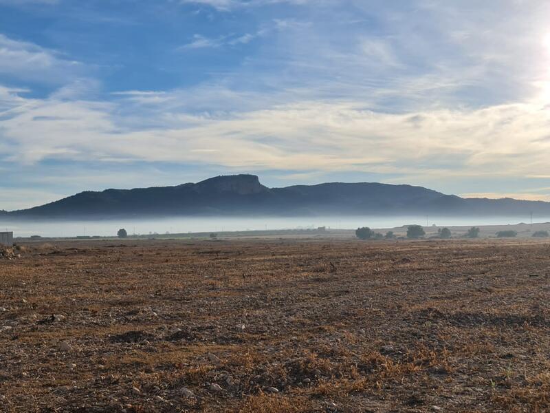 Land Te koop in Monóvar, Alicante