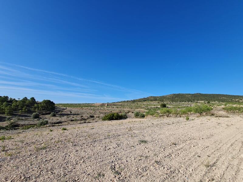Land for sale