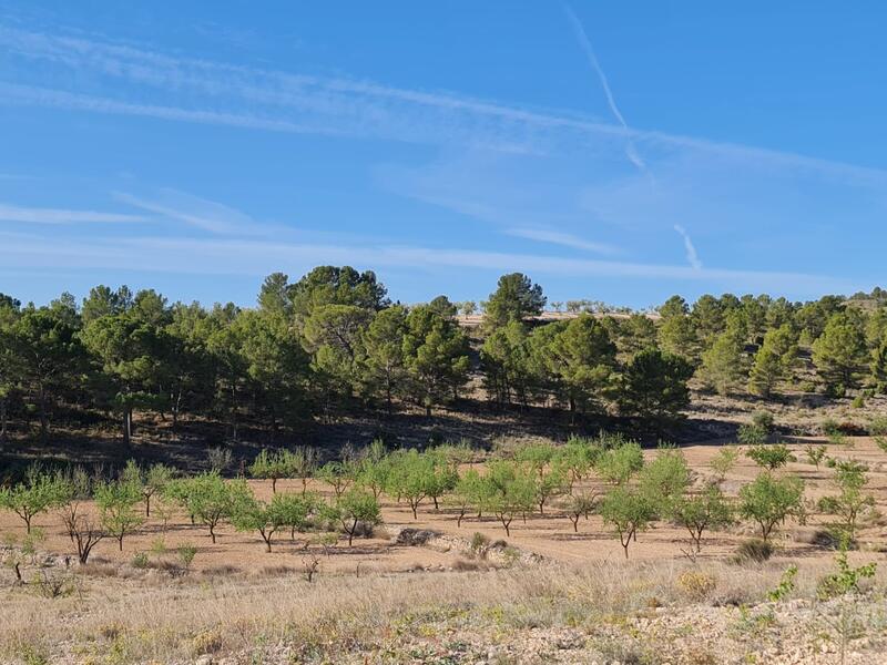 Land for sale in Raspay, Murcia