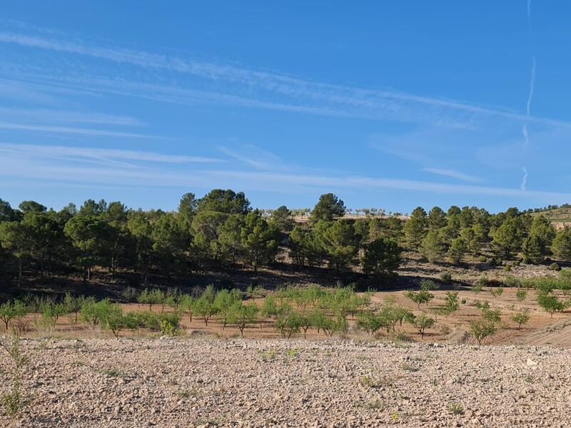 Terrain à vendre