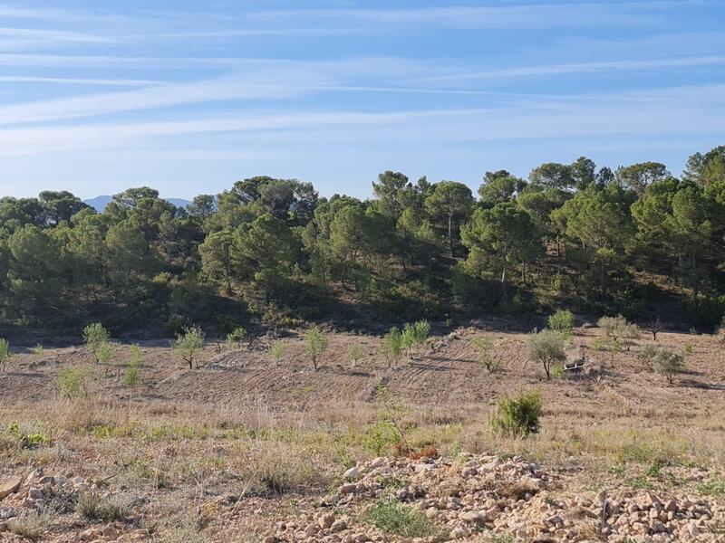 Terrain à vendre
