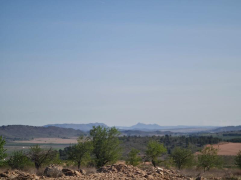 Terrain à vendre