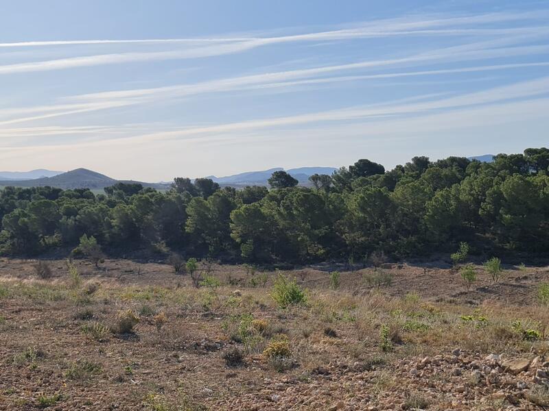 Terrain à vendre
